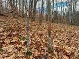  Trapping Brook Road - Photo 12
