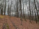  Trapping Brook Road - Photo 18