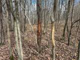  Trapping Brook Road - Photo 2