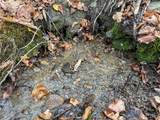  Trapping Brook Road - Photo 21