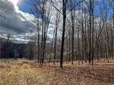  Trapping Brook Road - Photo 29
