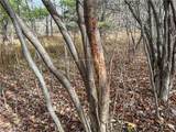  Trapping Brook Road - Photo 35