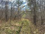  Trapping Brook Road - Photo 36