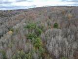  Trapping Brook Road - Photo 49