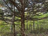 Lot 9 Mcandrews Rd - Photo 10