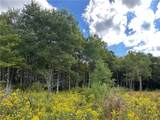 Lot 9 Mcandrews Rd - Photo 21
