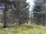 Lot 9 Mcandrews Rd - Photo 8