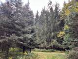 Lot 7 Mcandrews Rd - Photo 6