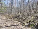 5565 Beech Hill Road - Photo 11