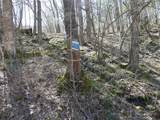 5565 Beech Hill Road - Photo 14