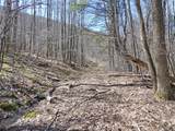 5565 Beech Hill Road - Photo 2