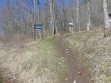 5565 Beech Hill Road - Photo 21