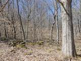 5565 Beech Hill Road - Photo 6