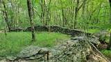  Jim Lane Road - Photo 12
