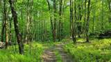  Jim Lane Road - Photo 14