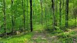  Jim Lane Road - Photo 16