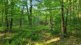  Jim Lane Road - Photo 28