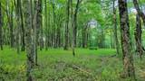  Jim Lane Road - Photo 37