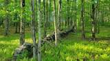  Jim Lane Road - Photo 42
