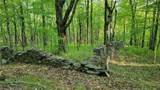  Jim Lane Road - Photo 44
