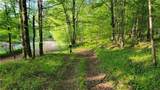  Jim Lane Road - Photo 7