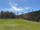  County Road 46 Lower Ravine Road - Photo 17