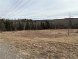  County Road 46 Lower Ravine Road - Photo 20