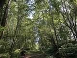  State Highway 23 - Photo 4