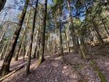 Lot #6.1 County Highway 20 - Photo 38