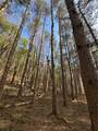 Lot #6.1 County Highway 20 - Photo 43