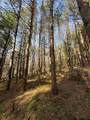 Lot #6.1 County Highway 20 - Photo 44