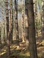 Lot #6.1 County Highway 20 - Photo 45