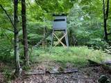 690 Dufton Hollow Road - Photo 16