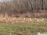 7203 Barber Road - Photo 5
