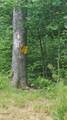 0 State Highway 8 - Photo 4