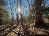  Paradise Road - Photo 17