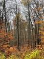 16 Silver Mine Road - Photo 6
