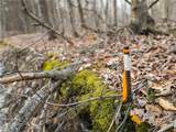  Briggs Hill Road - Photo 42