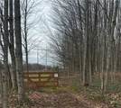 25 Pratt Drive - Photo 17