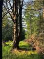  Goddards Road - Photo 9