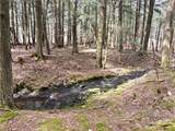 Lot 6.15 Little Beaver Creek Lane - Photo 21