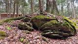 Lot 6.15 Little Beaver Creek Lane - Photo 24
