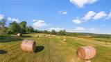 137 Stone Ridge Drive - Photo 14