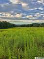 1004 Wigren Road - Photo 2