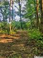 1004 Wigren Road - Photo 4