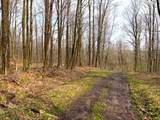 1700 28th Creek Road - Photo 8