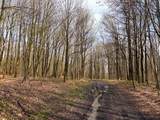 1700 28th Creek Road - Photo 9