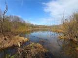 1700 28th Creek Road - Photo 11
