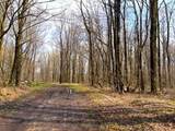 1700 28th Creek Road - Photo 1