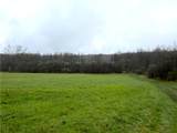 1700 28th Creek Road - Photo 3
